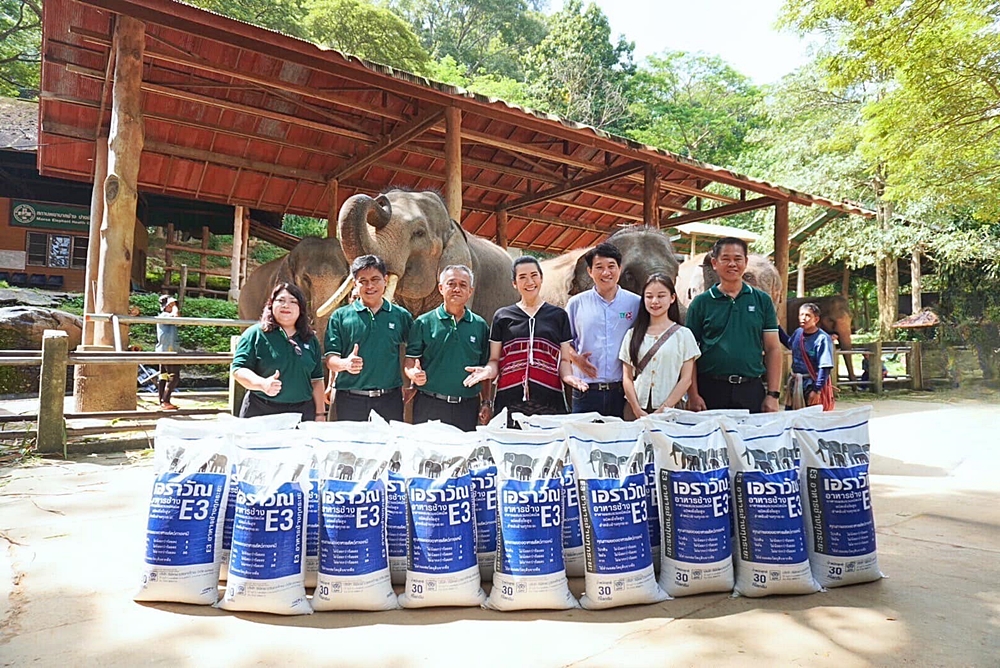 CPF and partners continue support "Saving Thai Elephants” project CPF and partners continue support "Saving Thai Elephants” project